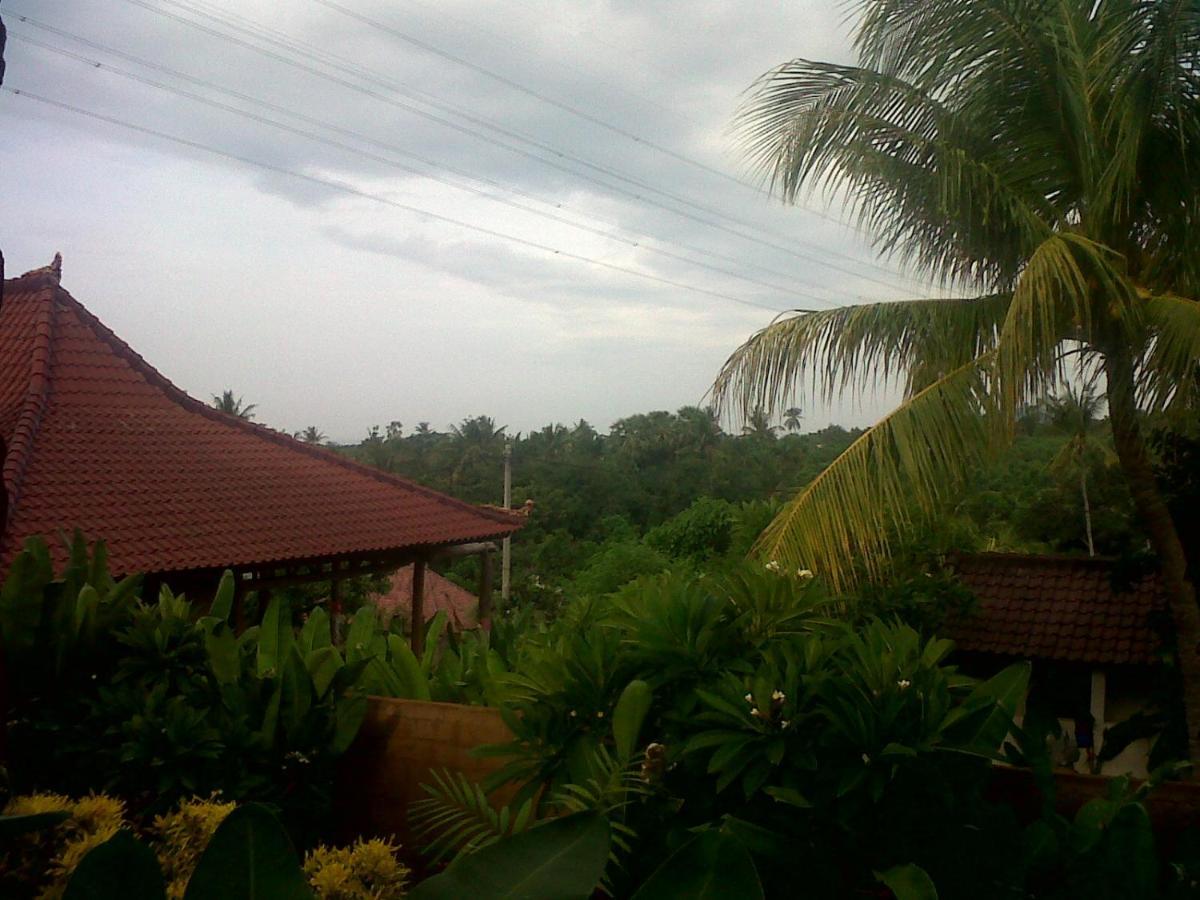 Eliska Sari Bungalows Sumberkima Pemuteran  Exterior photo