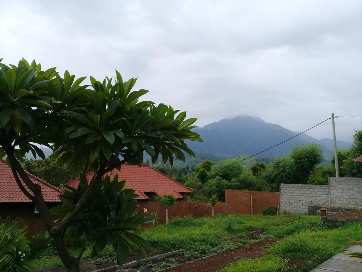 Eliska Sari Bungalows Sumberkima Pemuteran  Exterior photo