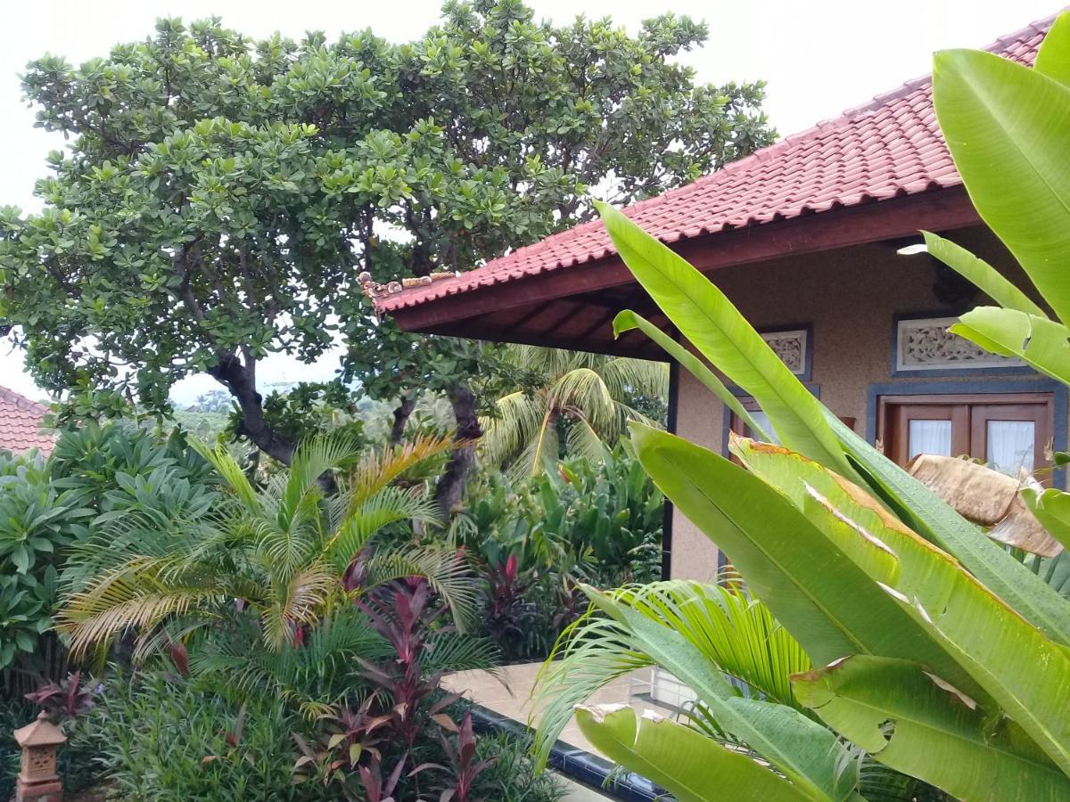 Eliska Sari Bungalows Sumberkima Pemuteran  Exterior photo