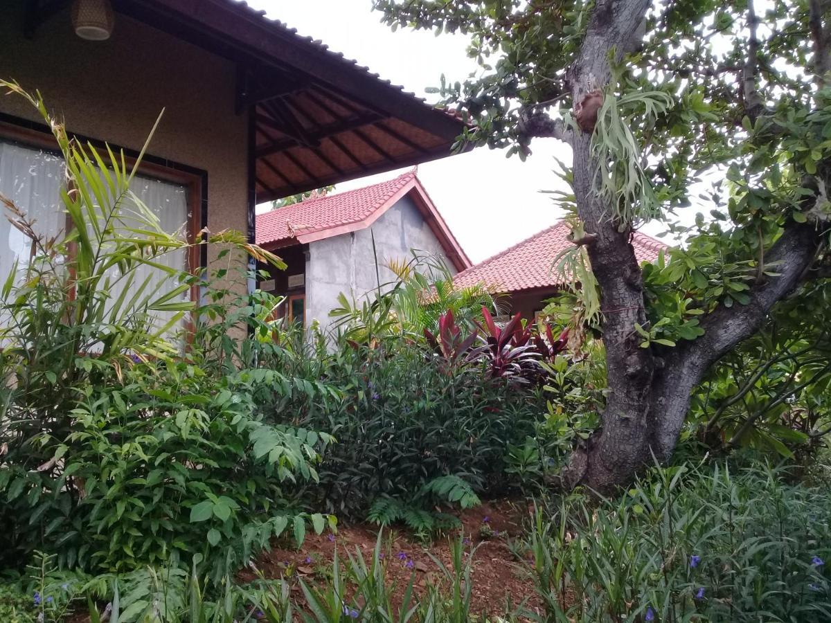 Eliska Sari Bungalows Sumberkima Pemuteran  Exterior photo